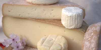cassis_et_melisse_1