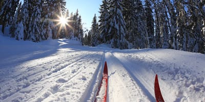 centre_de_services_le_littoral_1_h