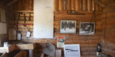 centre_dinterpretation_de_la_vie_en_foret_de_franquelin_1