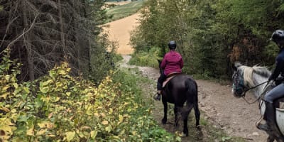 centre_equestre_saint_eloi_1