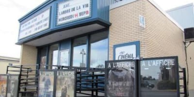 cinema_damos_1