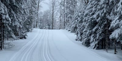 club_de_golf_les_cedres_1_h