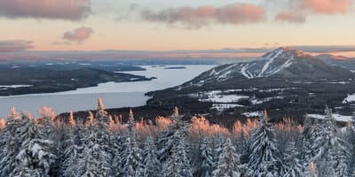 club_de_golf_owls_head_1_h