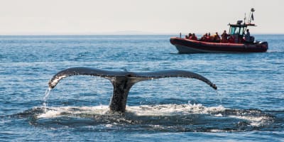 croisieres_essipit_4