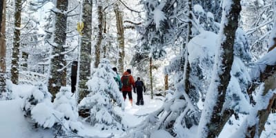 d_tour_tremblant_1_h