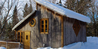 entre_cimes_et_racines_1_h