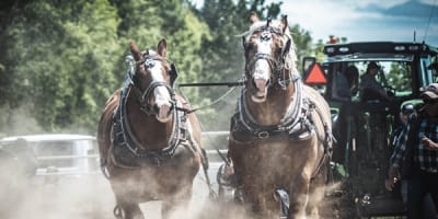 exposition_agricole_de_la_mrc_de_becancour_1