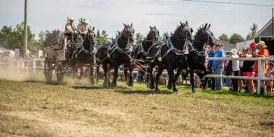 exposition_agricole_de_shawville_1