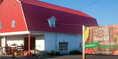 ferme_d_m_sauriol_1