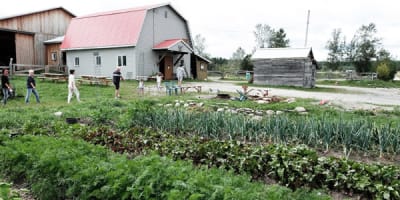 ferme_des_petits_torrieux_1