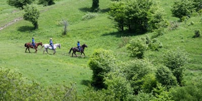 ferme_du_joual_vair_1