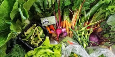 ferme_erb__la_grange_maraichere_1