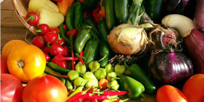 ferme_f_turcot_et_fils_1