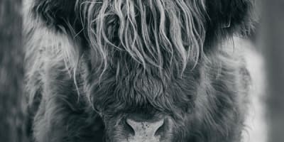 ferme_genty_senc_1