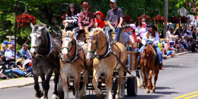 festival_du_cheval_de_princeville_1