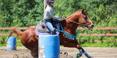 festival_western_du_boise_1