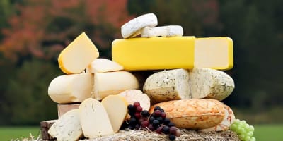 fromagerie_du_petit_plaisir_1