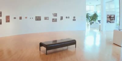 galerie_dart_doutremont_1