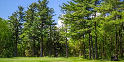 golf_hemmingford_1