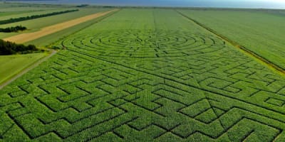 grand_labyrinthe_kamouraska_1