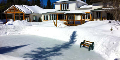 la_chaumiere_fleur_soleil_1_h