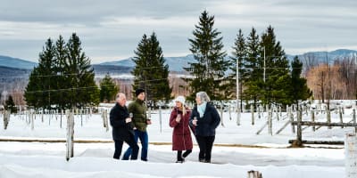 la_route_des_vins_de_brome_missisquoi_1_h