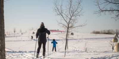 la_tohu_la_cite_des_arts_du_cirque_1_h