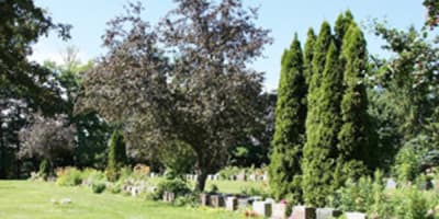 le_cimetiere_mont_royal_1