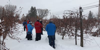 le_circuit_du_paysan_1_h