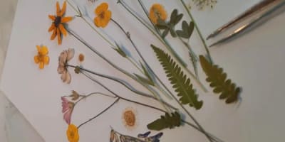 les_cantons_fleuris_1