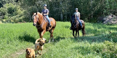 les_montagnards_de_charlevoix_2
