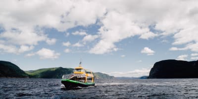 The Majestic Cruise