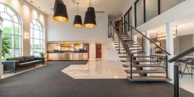 les_suites_de_laviolette_11