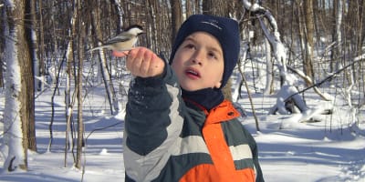 lile_saint_bernard_3_h