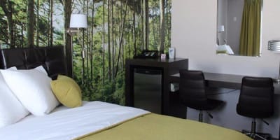motel_iris_1