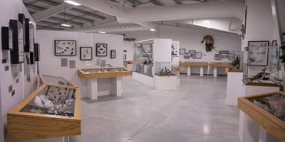 musee_du_coquillage_1