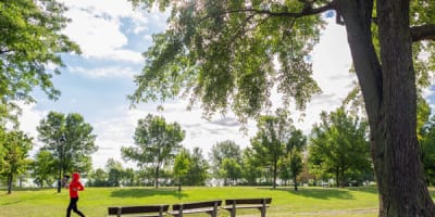 parc_de_la_promenade_bellerive_1