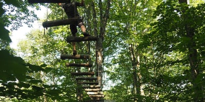 parc_de_sentiers_aeriens___foret_de_maitre_corbeau_1
