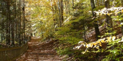 parc_des_chutes_lysander_1_a