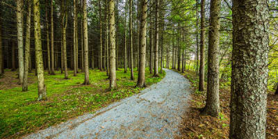 parc_des_deux_rivieres_1