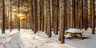 parc_des_deux_rivieres_1_h