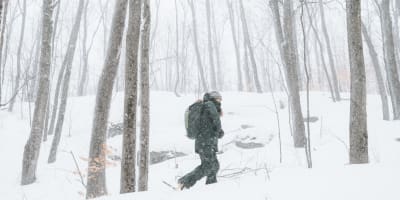 parc_des_sommets__randonnee_pedestre_et_velo_de_montagne_1_h