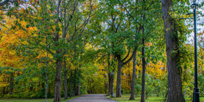 parc_du_bois_de_coulonge_1_a