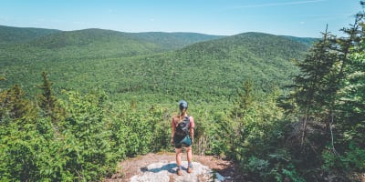 parc_du_massif_du_sud_1
