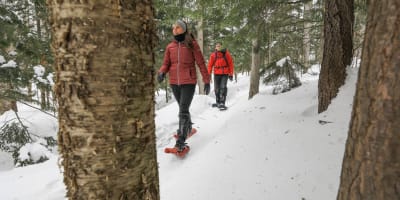 parc_du_mont_bellevue_1_h