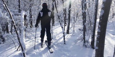 parc_du_mont_hatley_1_h