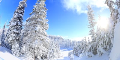 parc_national_des_monts_valin_1_h