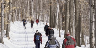 parc_national_du_mont_saint_bruno_1_h