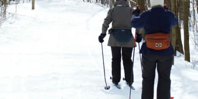 parc_nature_du_bois_de_liesse_1_h