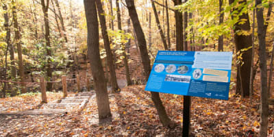 parc_naturel_terra_cotta_1_a